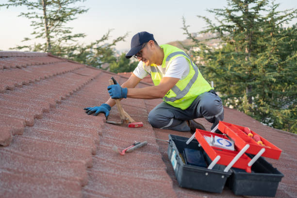 Roof Gutter Cleaning in Newcastle, WY