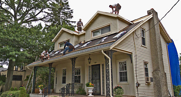 Trusted Newcastle, WY Roofing Contractor Experts