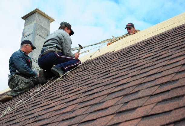 Best Roof Maintenance Services  in Newcastle, WY