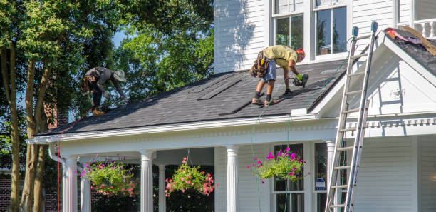 Best Shingle Roofing Installation  in Newcastle, WY