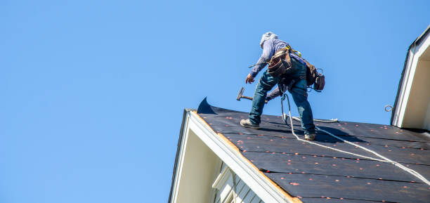 Best Roof Repair Services  in Newcastle, WY